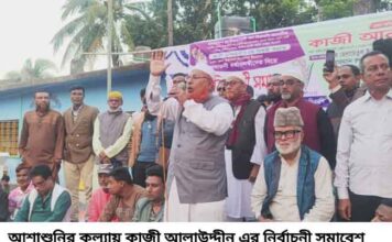 আশাশুনির কুল্যায় সনাতনী ধর্মাবলম্বীদের নিয়ে কাজী আলাউদ্দীনের নির্বাচনী সমাবেশ