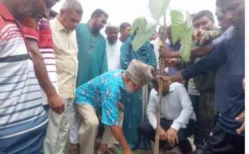 আশাশুনিতে বৃক্ষরোপন কর্মসূচি উদ্বোধন