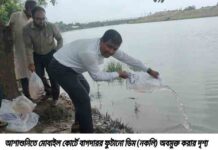 আশাশুনিতে মোবাইল কোর্টে বাগদা ডিম জব্দ, জরিমানা