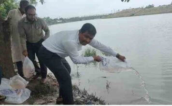আশাশুনিতে মোবাইল কোর্টে বাগদা ডিম জব্দ, জরিমানা