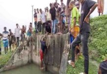 আশাশুনির বামনডাঙ্গা স্লুইস গেটে পানি নিস্কাশনে প্রতিবন্ধকতা অপসারন