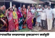 আশাশুনির বদরতলায় বৃক্ষরোপণ কর্মসূচি অনুষ্ঠিত