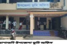 আশাশুনি উপজেলা ভূমি অফিসে কাজের অগ্রগতি বেড়েছে