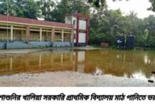 আশাশুনির খালিয়া সরকারি প্রাথমিক বিদ্যালয় মাঠ পানিতে টইটম্বুর