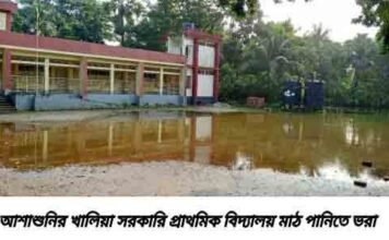 আশাশুনির খালিয়া সরকারি প্রাথমিক বিদ্যালয় মাঠ পানিতে টইটম্বুর
