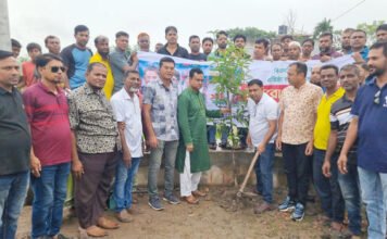 বিএনপি’র প্রতিষ্ঠাবার্ষিকী উপলক্ষে খুলনা জেলা বিএনপি’র বৃক্ষরোপণ কর্মসূচির উদ্বোধন