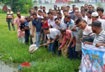 তারেক রহমানও শহীদ জিয়ার মতোই উৎপাদনমুখী রাজনীতি ও জনকল্যাণকর কর্মসূচি বাস্তবায়ন করছেন-জেলা বিএনপি’র আহবায়ক মন্টু